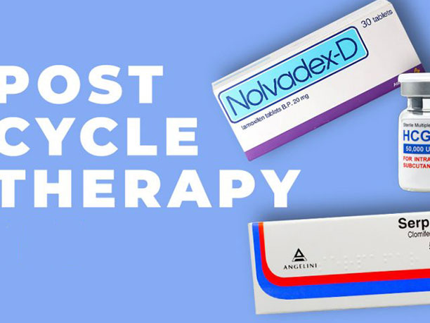 Buy Post Cycle Therapy