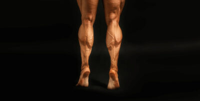 Building Massive Calf Muscles