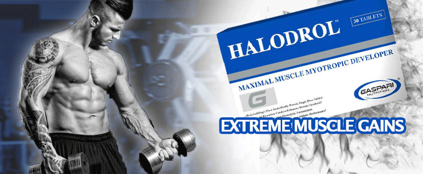 Unleashing the Power of Halodrol