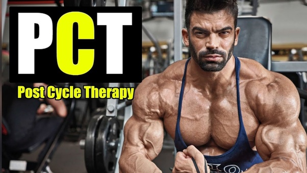 Understanding Post-Cycle Therapy (PCT):