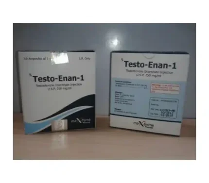 Testosterone Enanthate ampoules arranged neatly on a sterile surface, commonly used for hormone replacement and bodybuilding cycles.