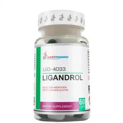 Ligandrol LGD-4033 60mgsupplement bottle formulated to support lean muscle growth, strength, and faster recovery